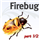 Get out of the DotNetNuke CSS maze with Firebug - Part 1/2