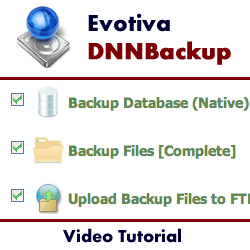 Restoring the File System from a DNN Backup