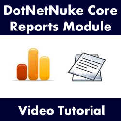 Creating the DotNetNuke SEO Report Stage 1